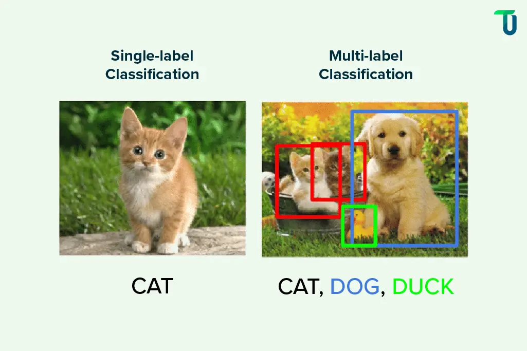 Tagging images with single & multi-labels Single and multi-label