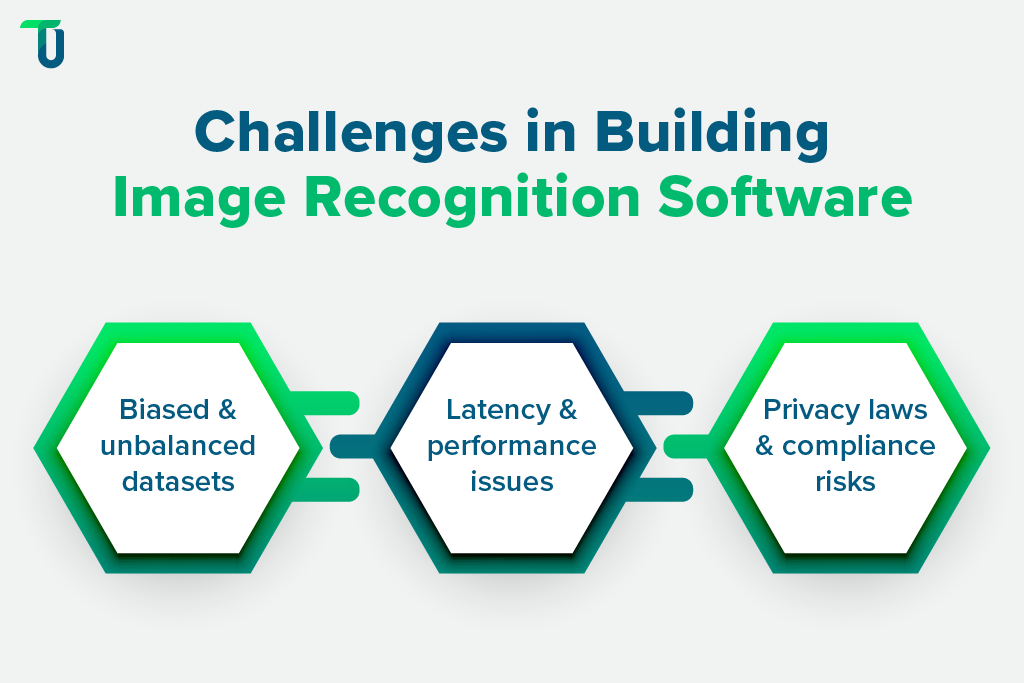 Risks in Image Recognition Software Development Pitfalls to Avoid in Image Recognition Projects