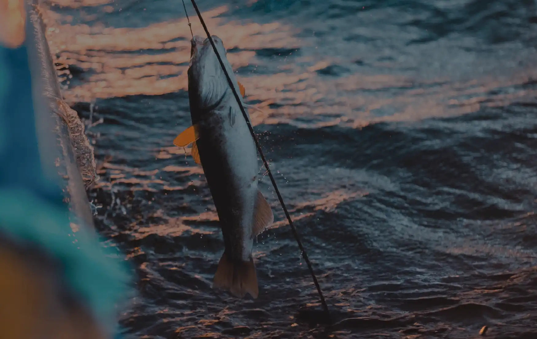 ai driven fish identification and regulation insights for msart fishing