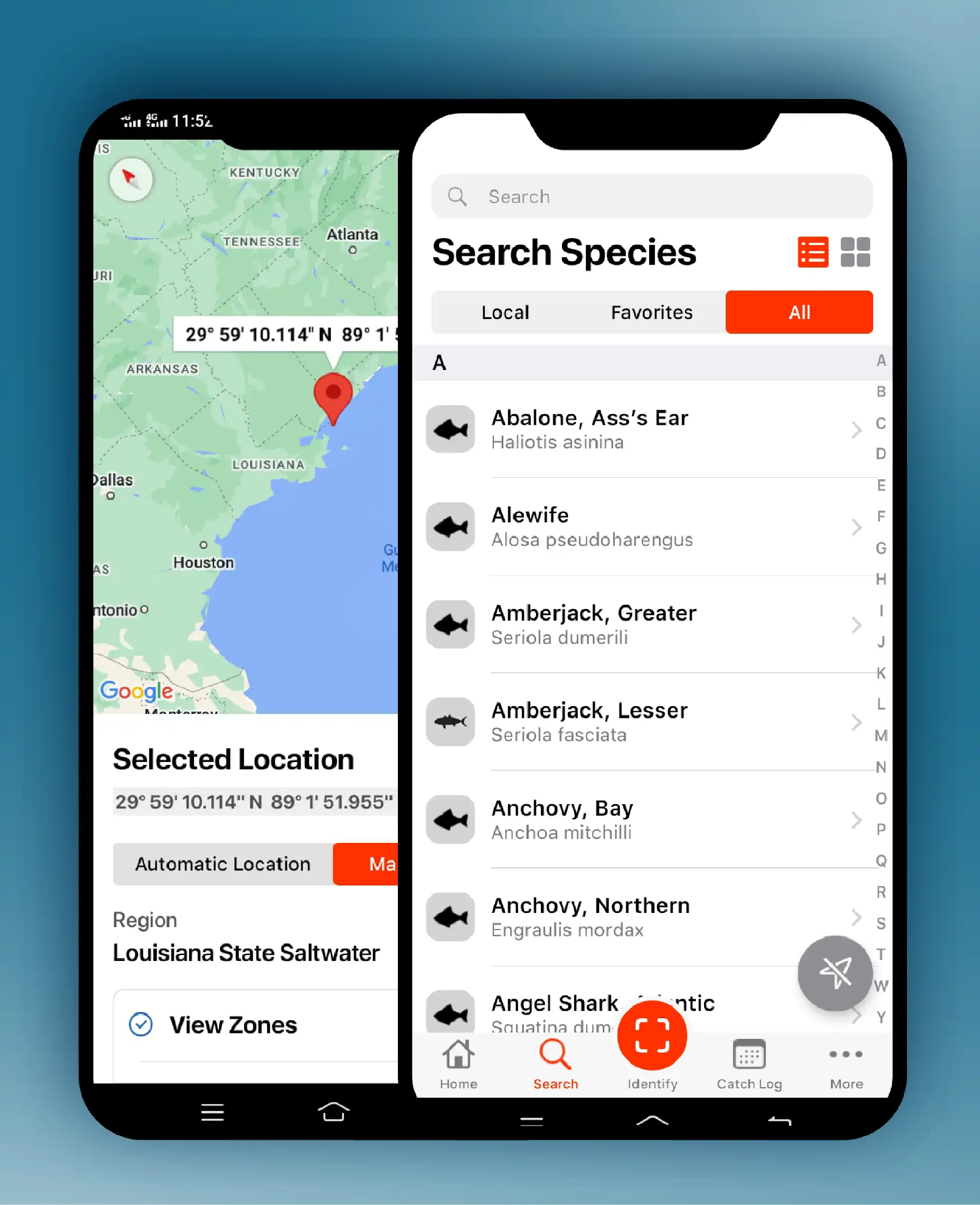 Fish and region identification using app Fish identification features in mobile app