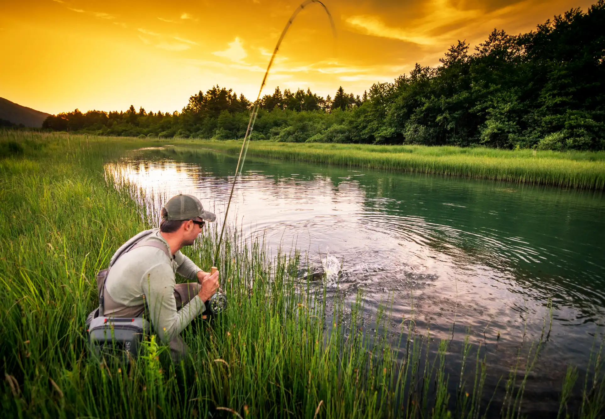 Challenges in developing fish identification app